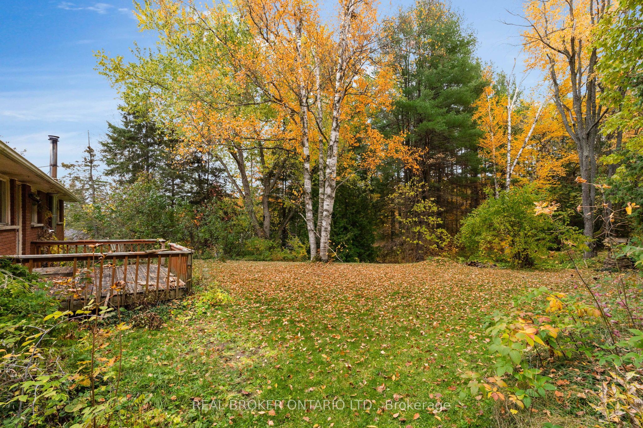 1159 Carson Road Property Photo 37