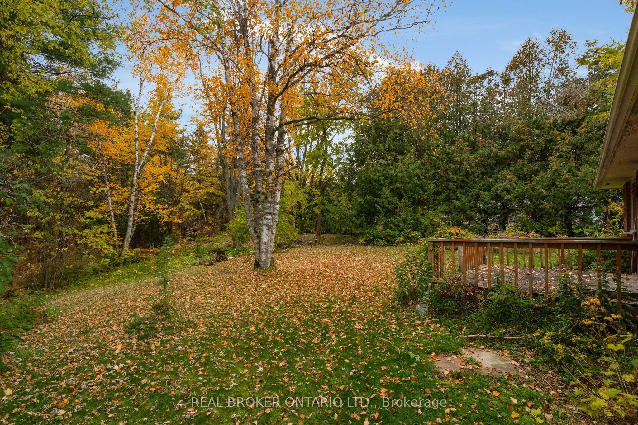 1159 Carson Road Property Photo 40