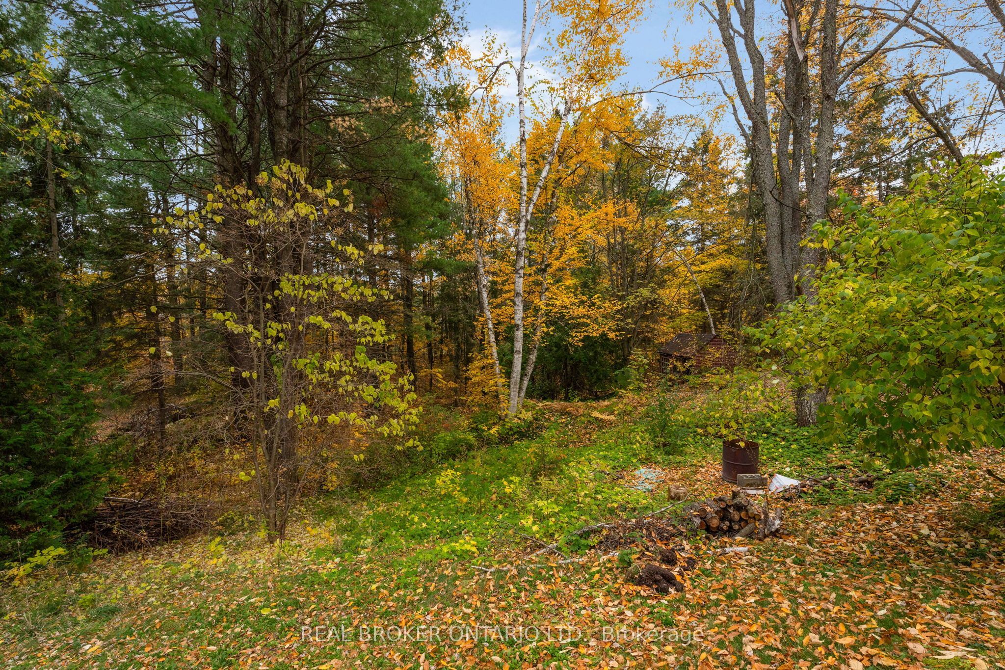 1159 Carson Road Property Photo 43