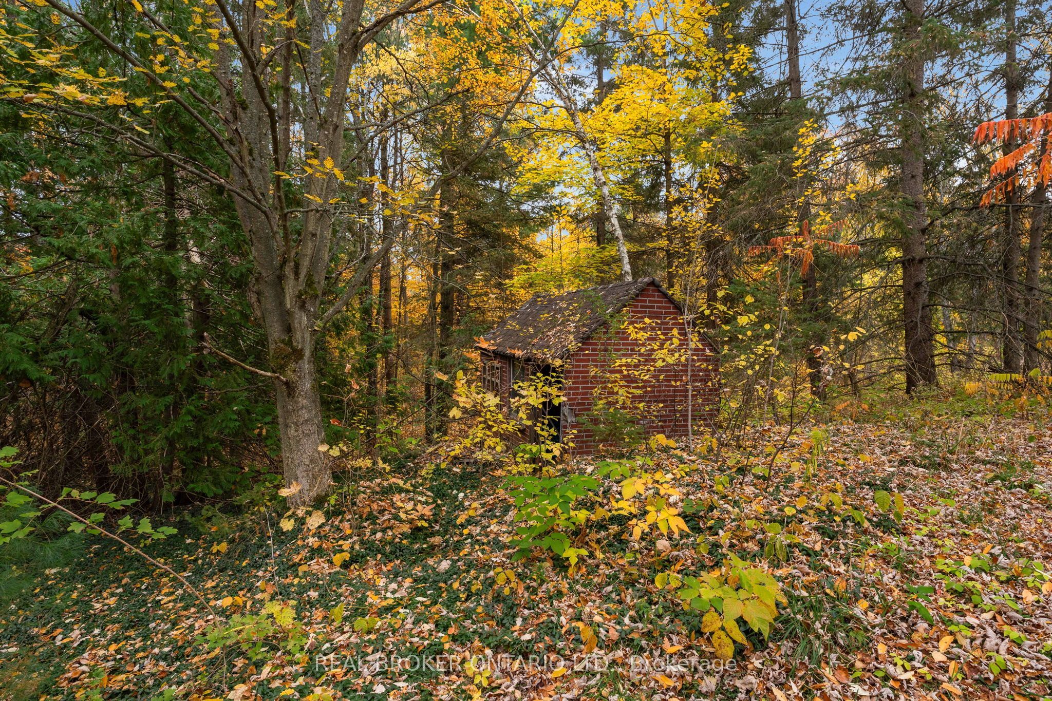 1159 Carson Road Property Photo 44