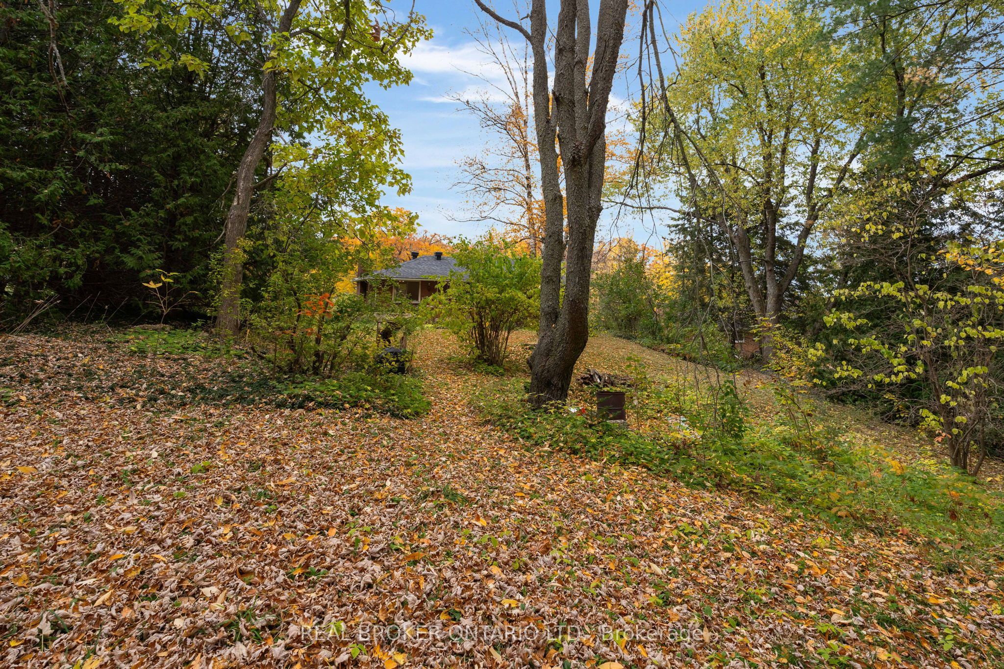 1159 Carson Road Property Photo 45