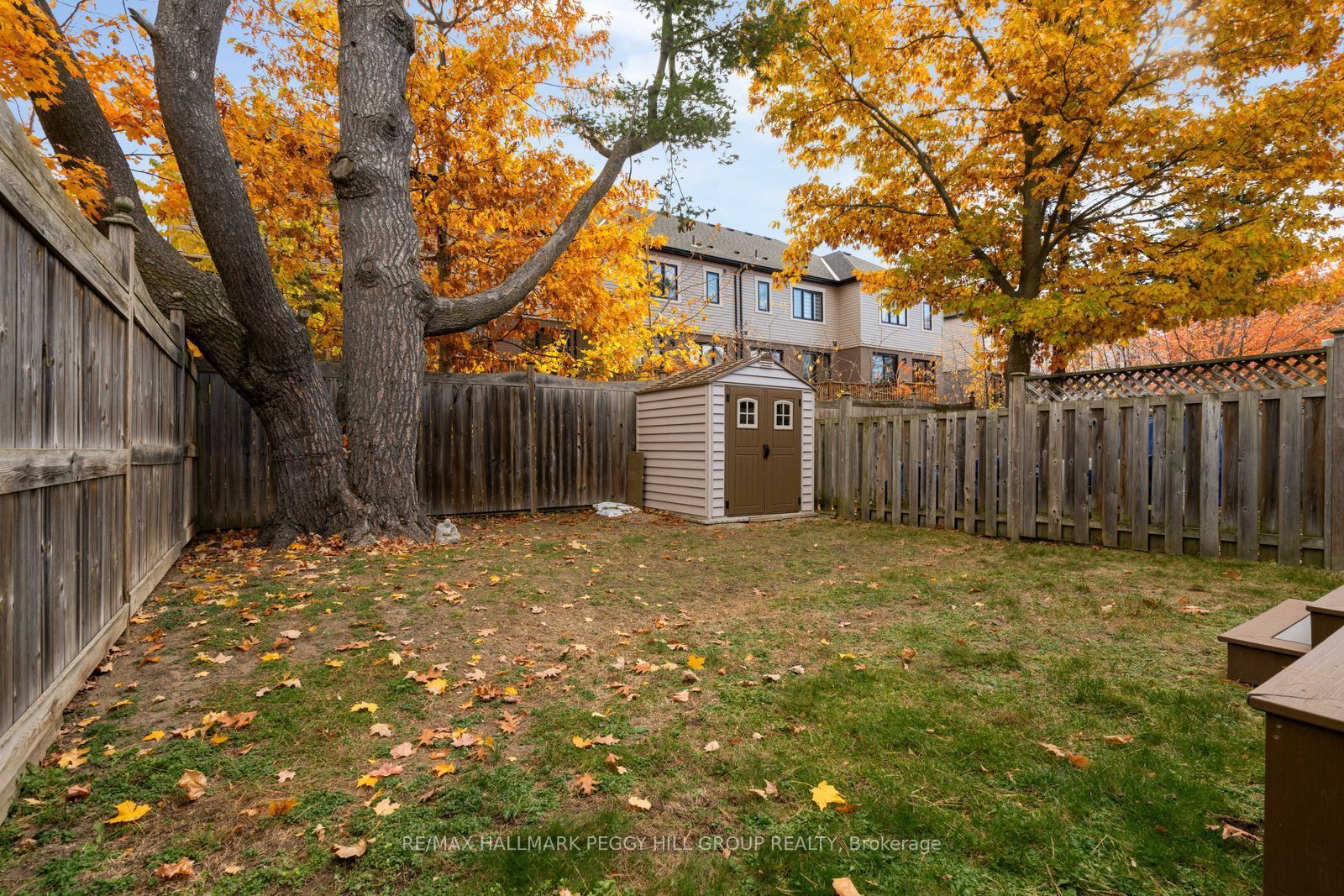 79 Winchester Terrace Property Photo 5