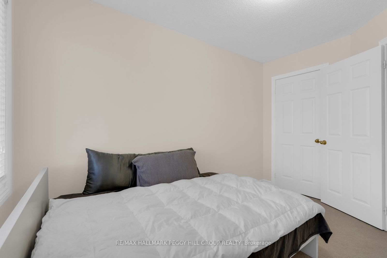 79 Winchester Terrace Property Photo 8