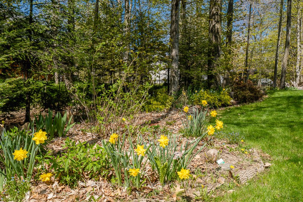 58 Bellehumeur Rd Property Photo 31