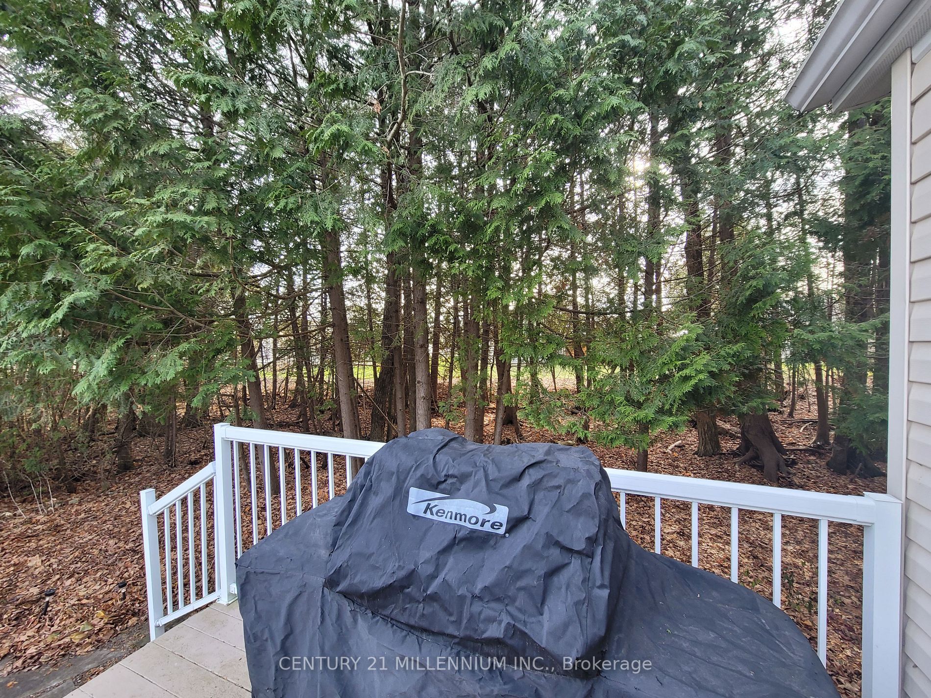 17 The Boardwalk Property Photo 3