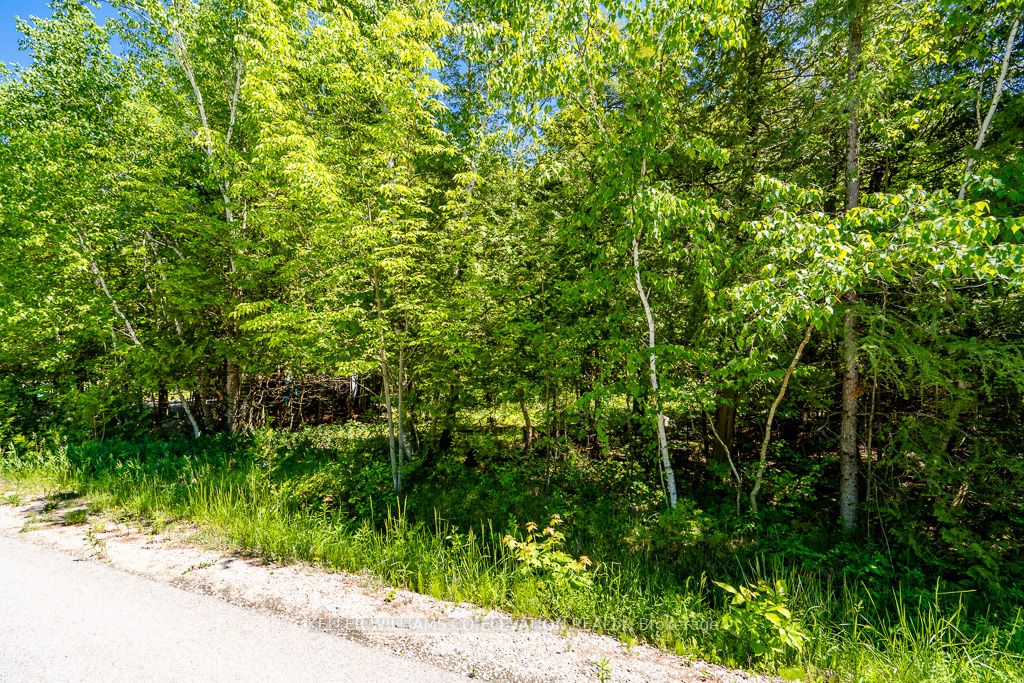 Lot 117 Iroquois Cres Property Photo 3