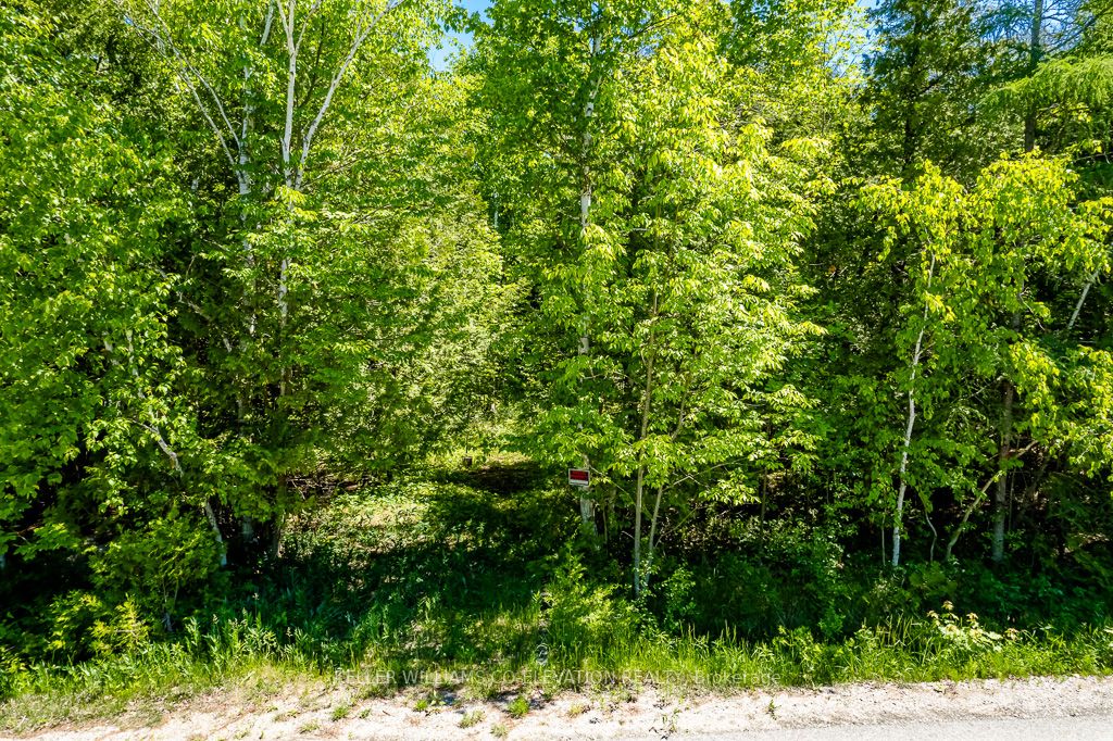 Lot 117 Iroquois Cres Property Photo 5