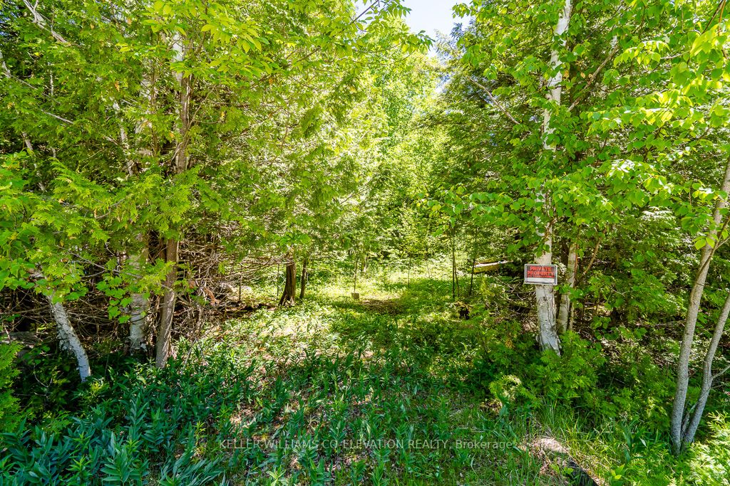 Lot 117 Iroquois Cres Property Photo 6