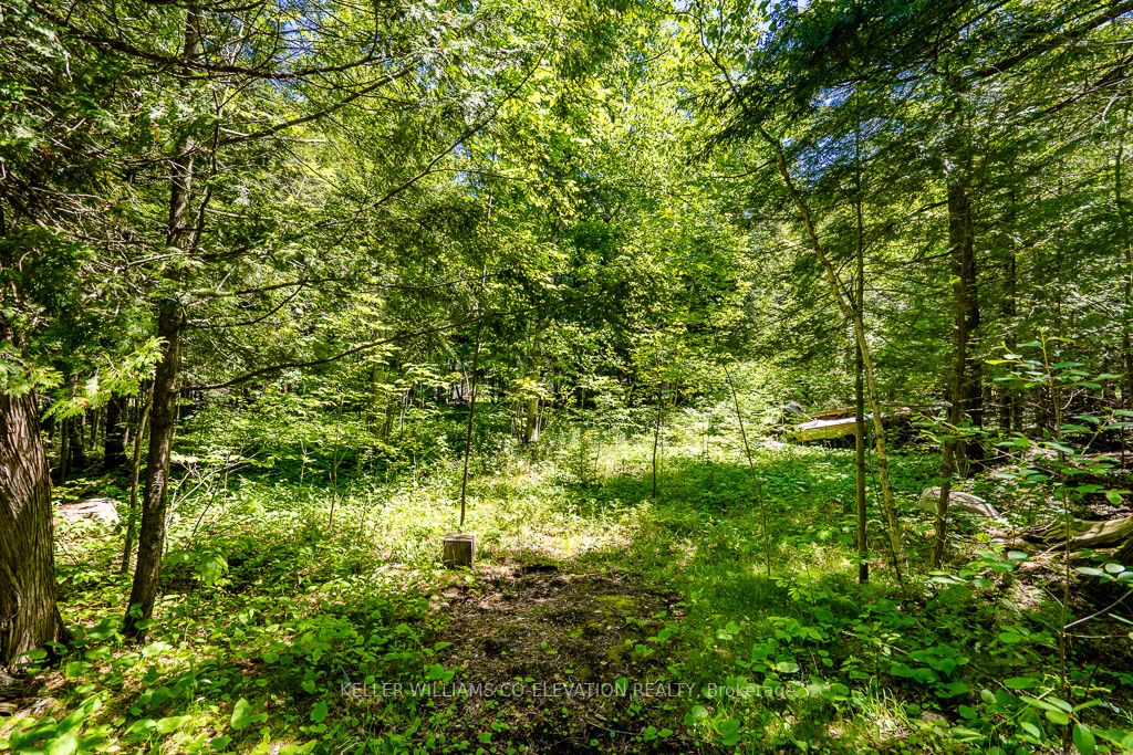 Lot 117 Iroquois Cres Property Photo 7