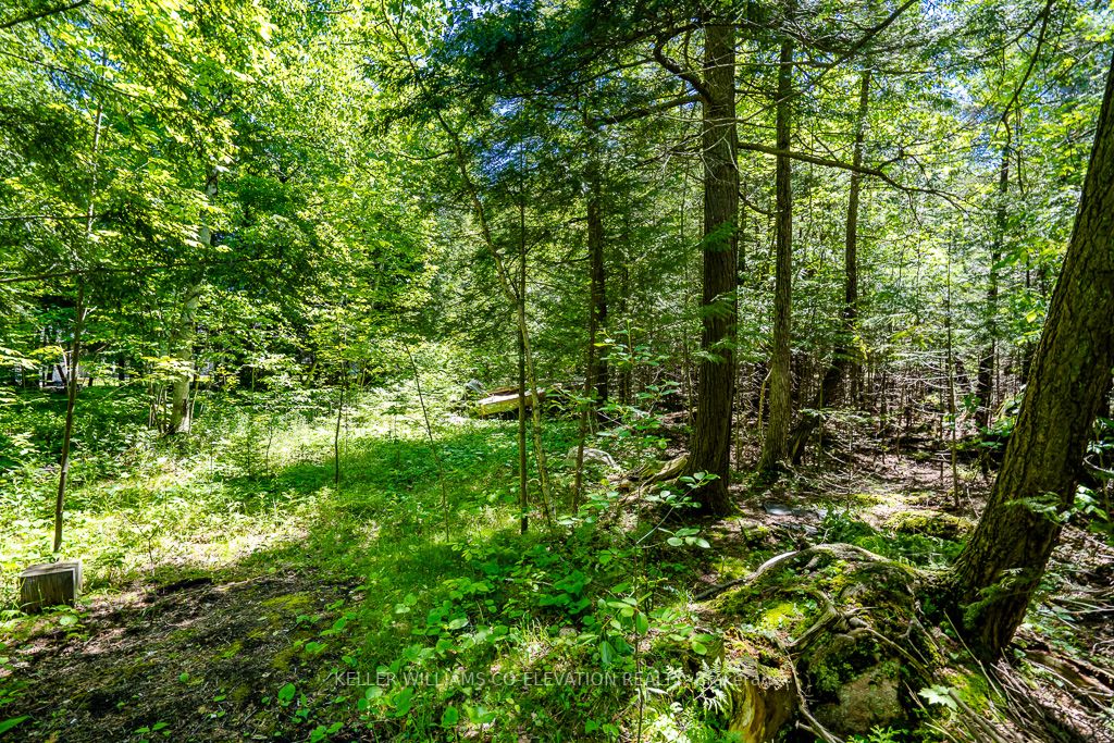 Lot 117 Iroquois Cres Property Photo 8