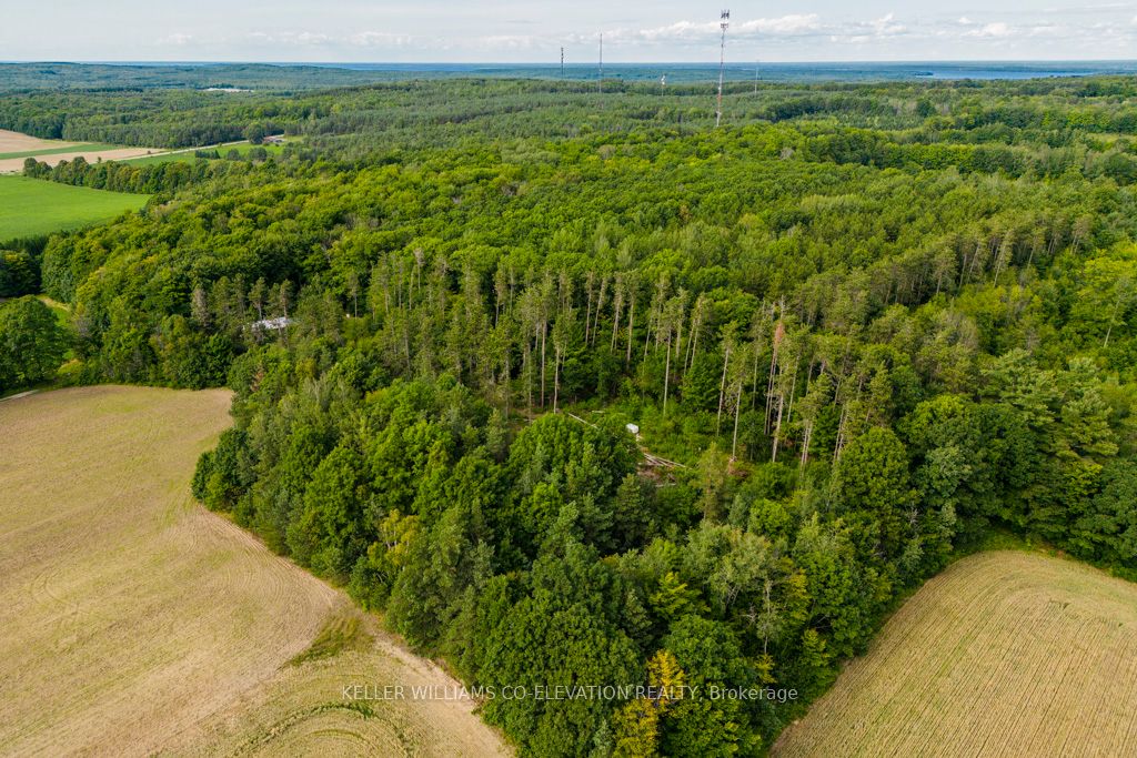 Lot 12 14 Concession Rd E Property Photo 7