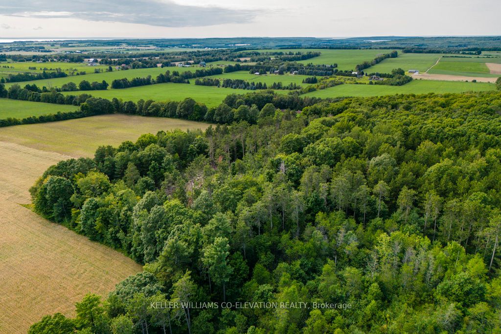 Lot 12 14 Concession Rd E Property Photo 9