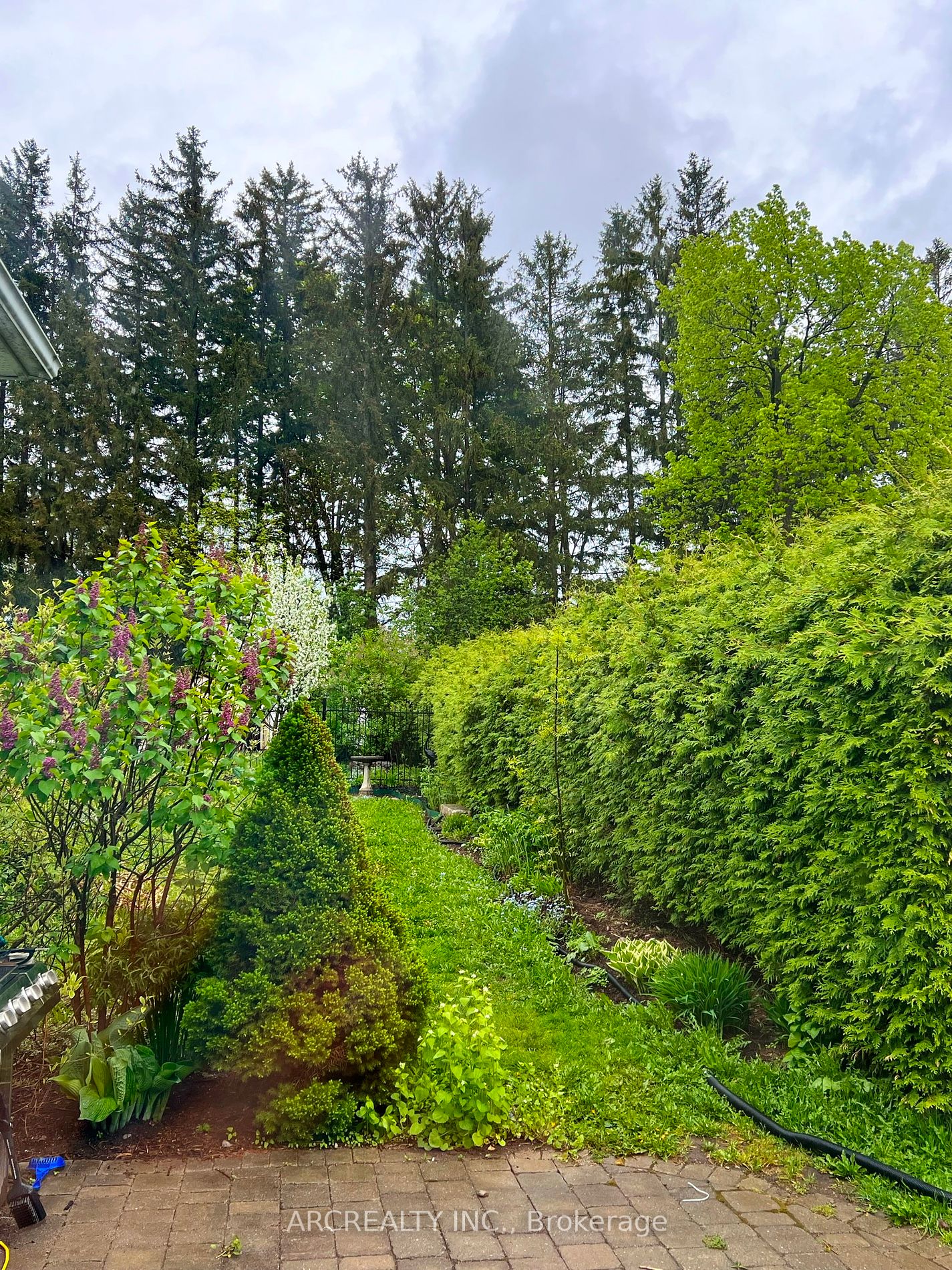 53 Orma Dr Property Photo 17