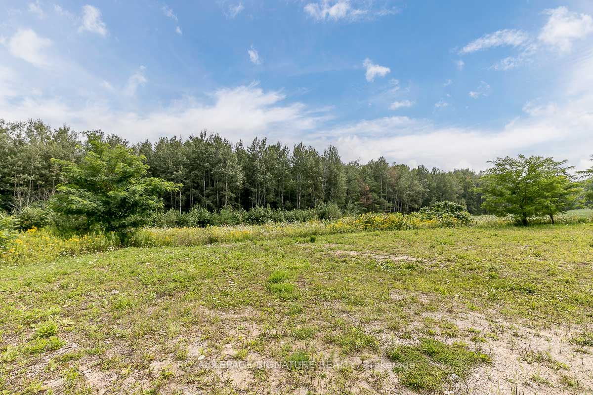 209 15/16 Sideroad Property Photo 7