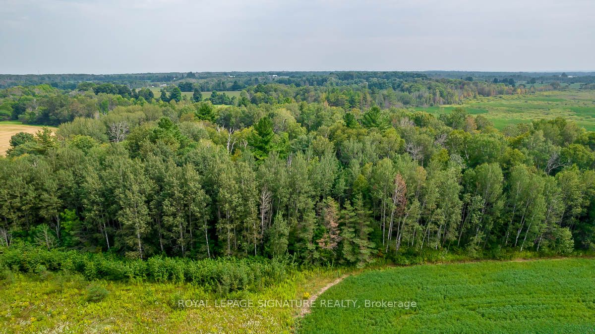 209 15/16 Sideroad Property Photo 22