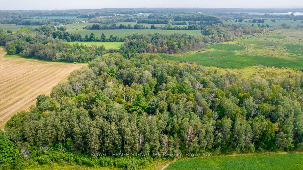 209 15/16 Sideroad Property Photo 23