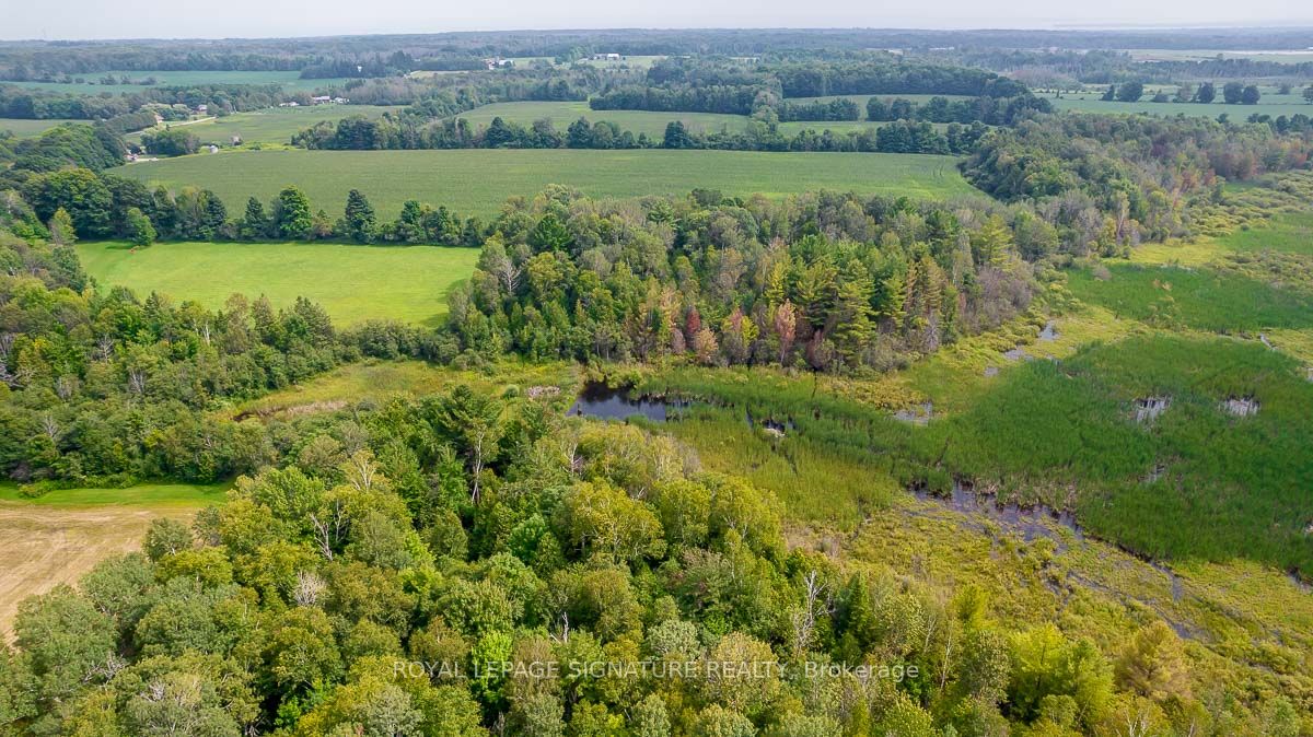 209 15/16 Sideroad Property Photo 24