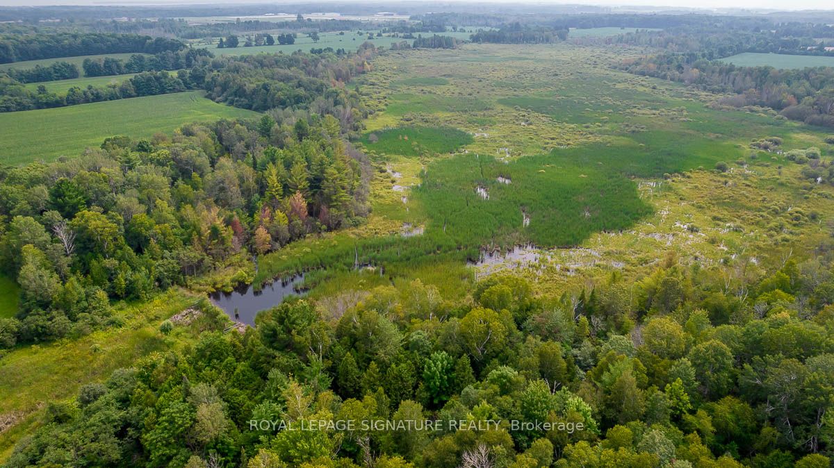 209 15/16 Sideroad Property Photo 25