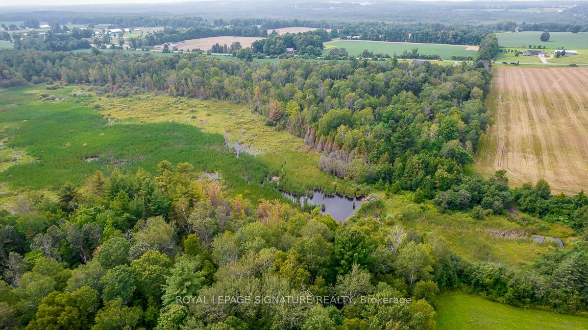 209 15/16 Sideroad Property Photo 26