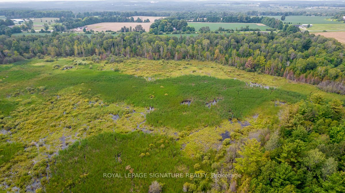 209 15/16 Sideroad Property Photo 27