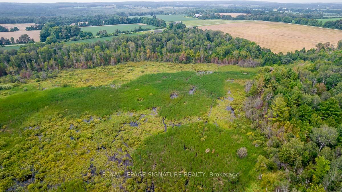 209 15/16 Sideroad Property Photo 28