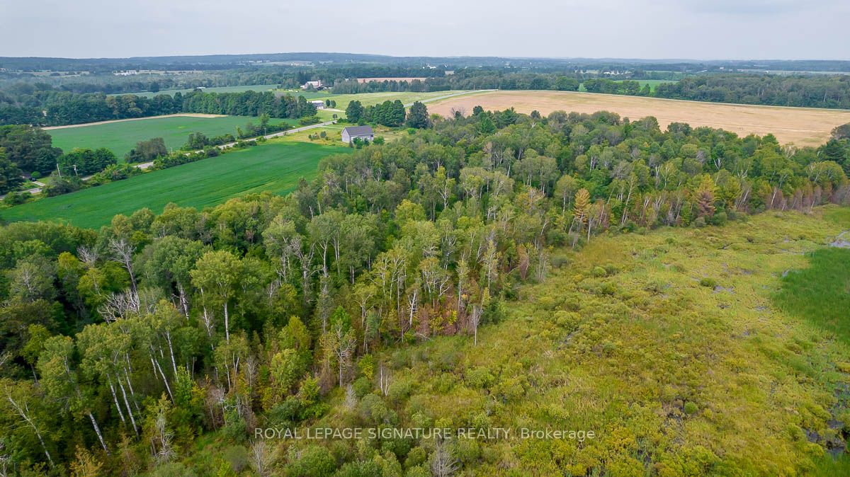 209 15/16 Sideroad Property Photo 30