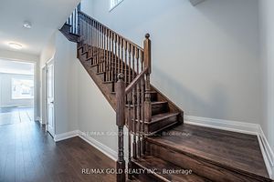 18 Sweet Cicely St Property Photo 6