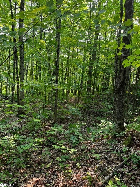 1796 Ellis Rd Property Photo