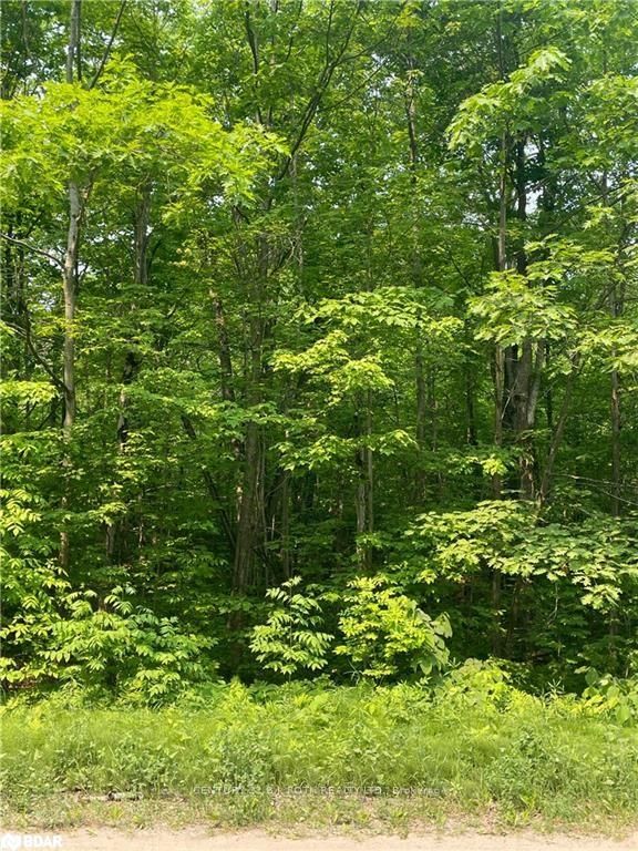 1796 Ellis Rd Property Photo 3