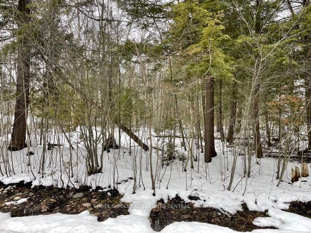 Lot 454 Seguin Cres Property Photo 8