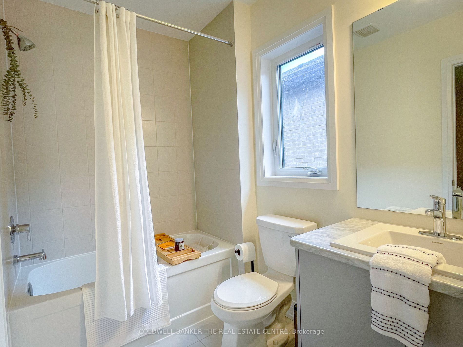 18 Daffodil Rd Property Photo 19