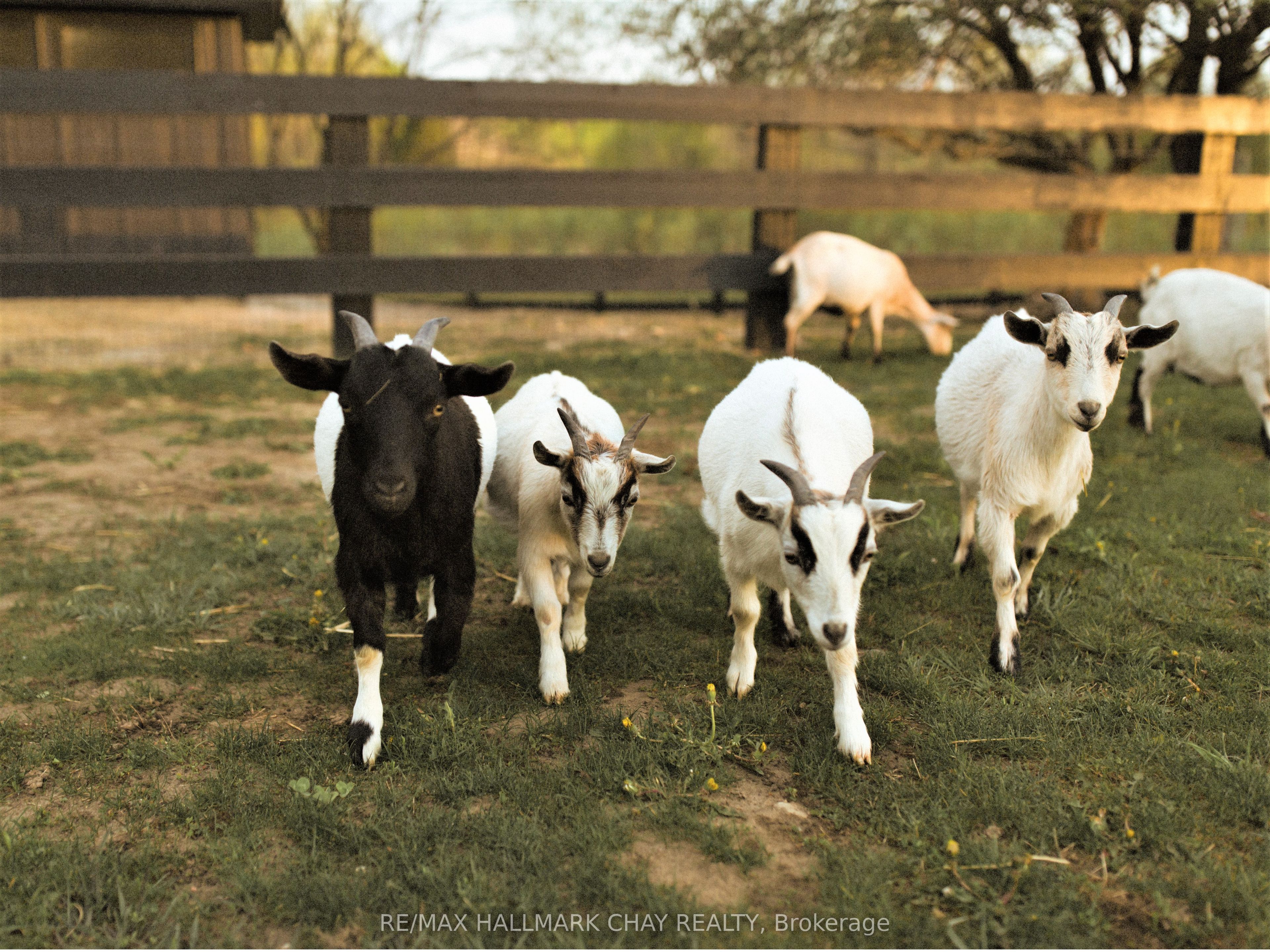 Lot 38 Friesian Court Property Photo 19