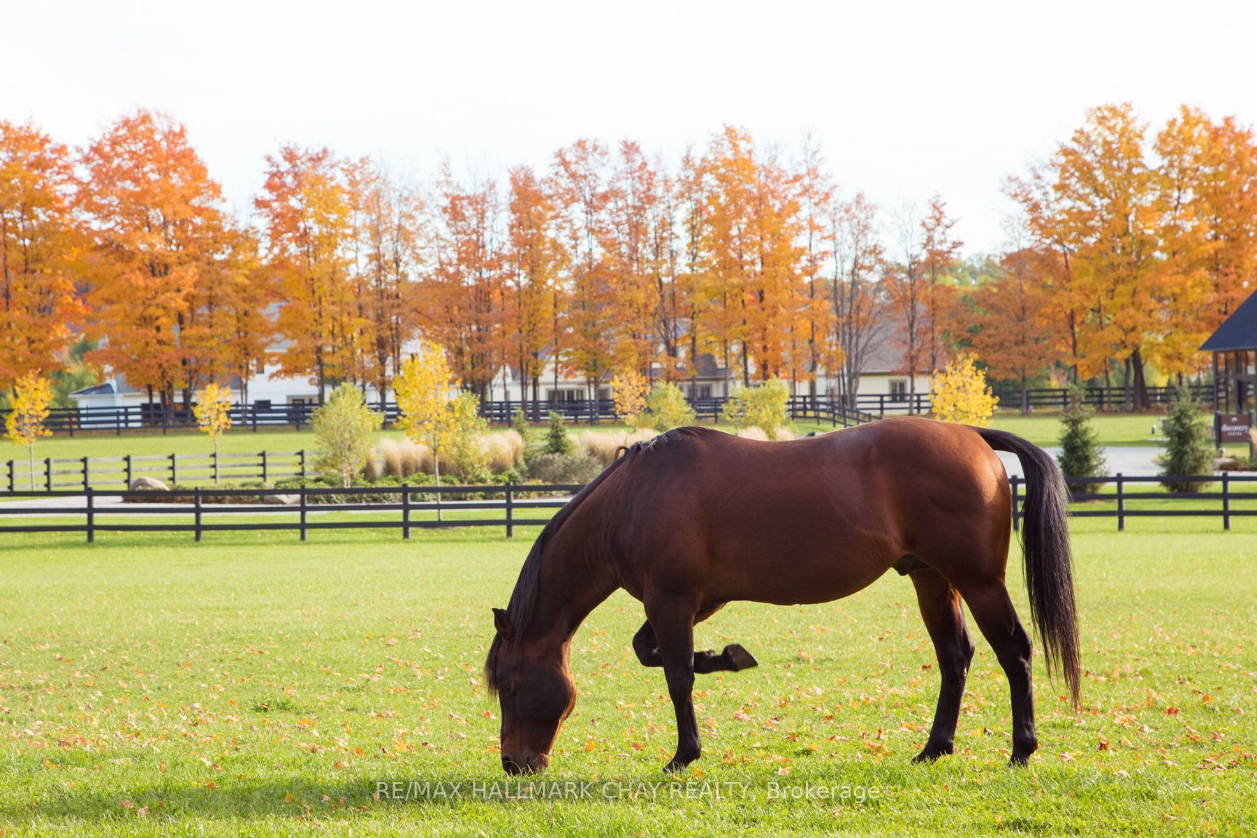 Lot 38 Friesian Court Property Photo 21
