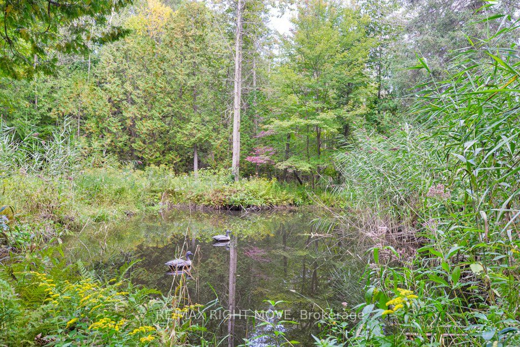 1390 Warminster Sideroad Property Photo 28