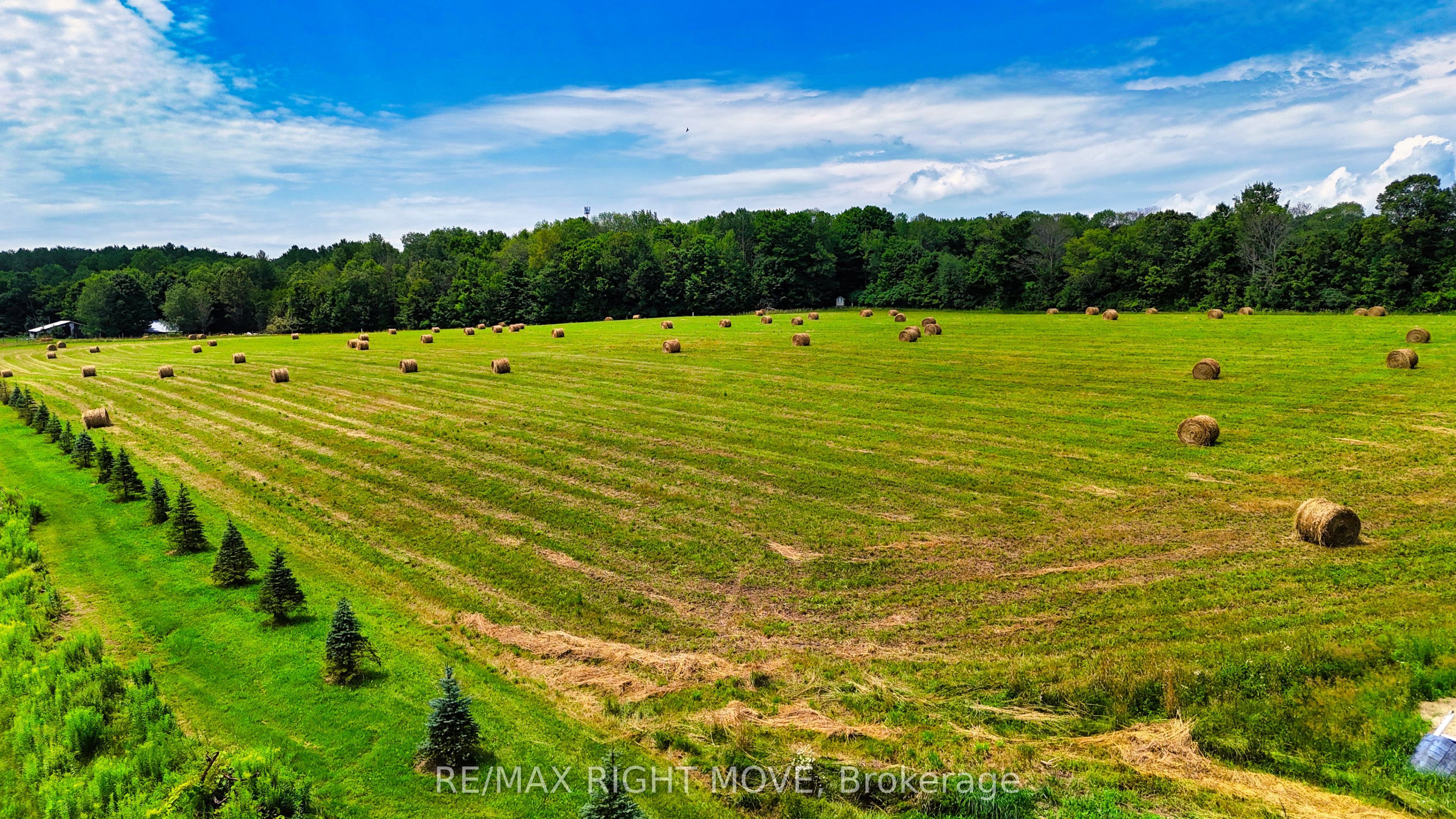 1390 Warminster Side Road Property Photo 39