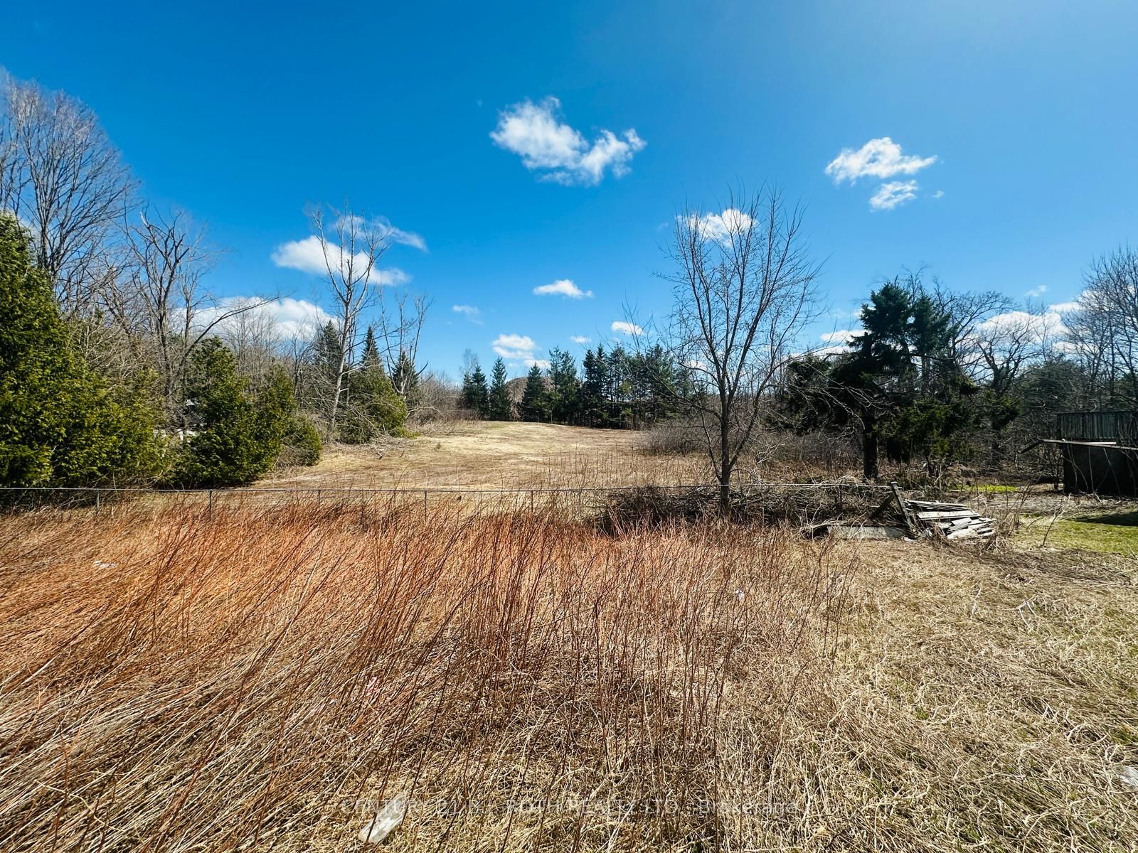 2925 Old Barrie Rd E Property Photo 12