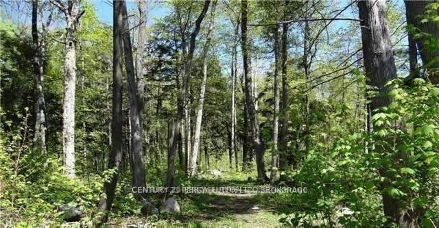 115 Nippissing Ridge Road Property Photo 2