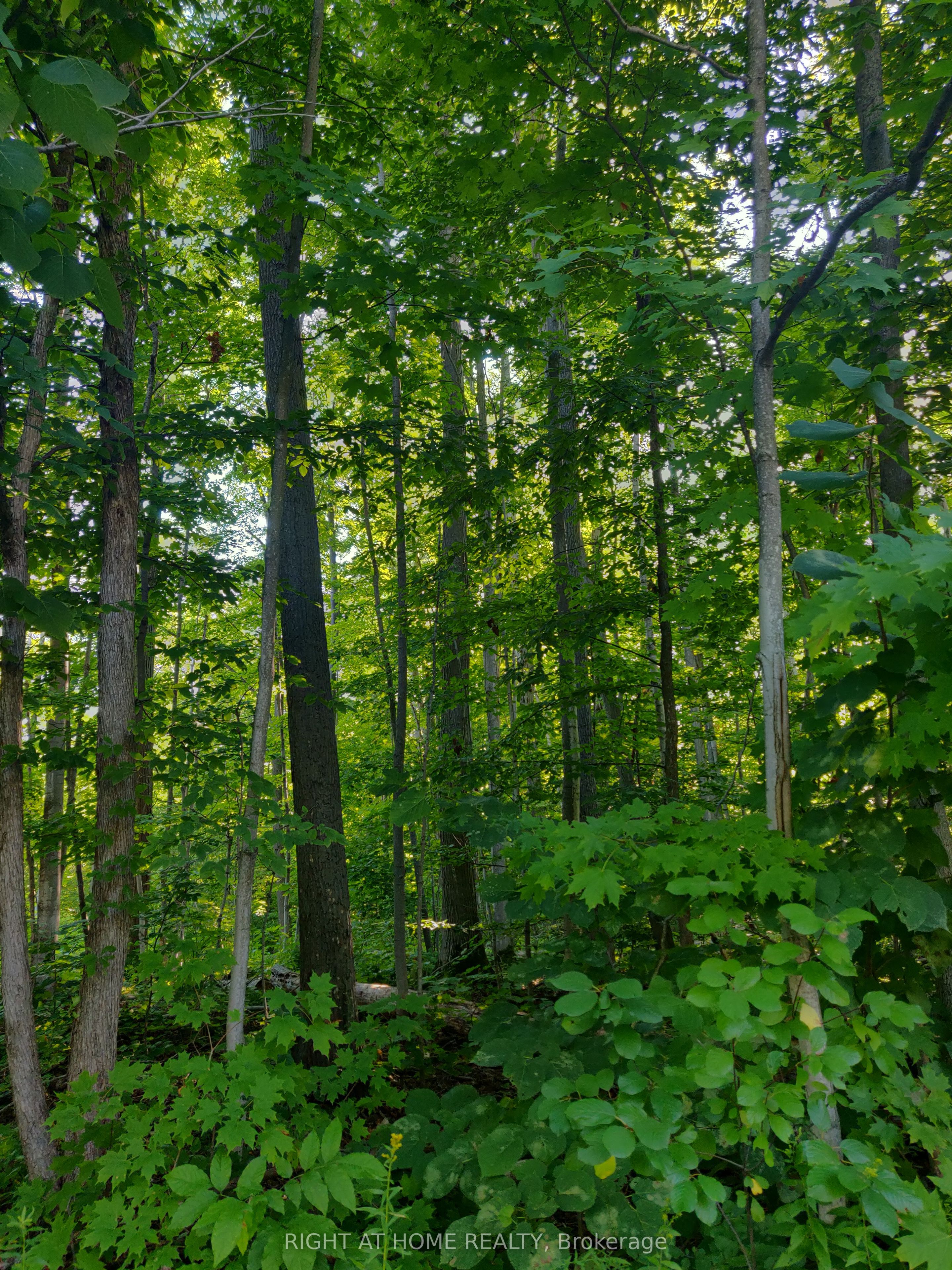 68 Wozniak Road Property Photo 3