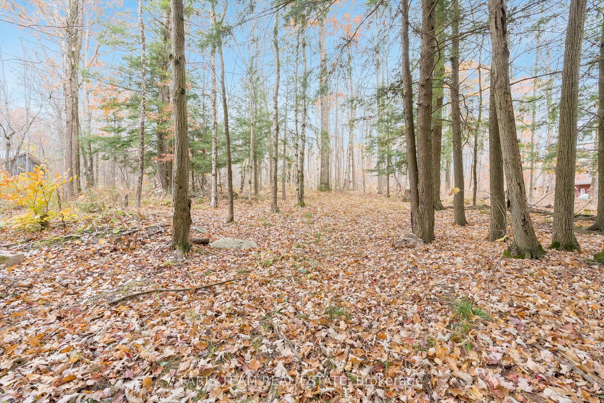 1474 Otter Point Road Property Photo 5