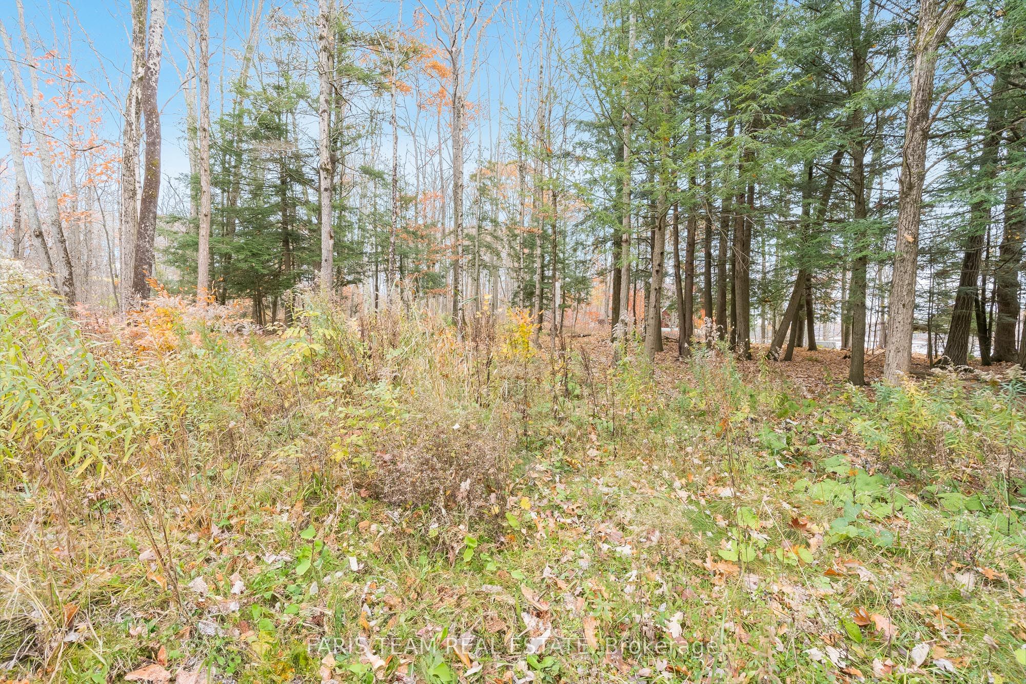 1474 Otter Point Road Property Photo 6