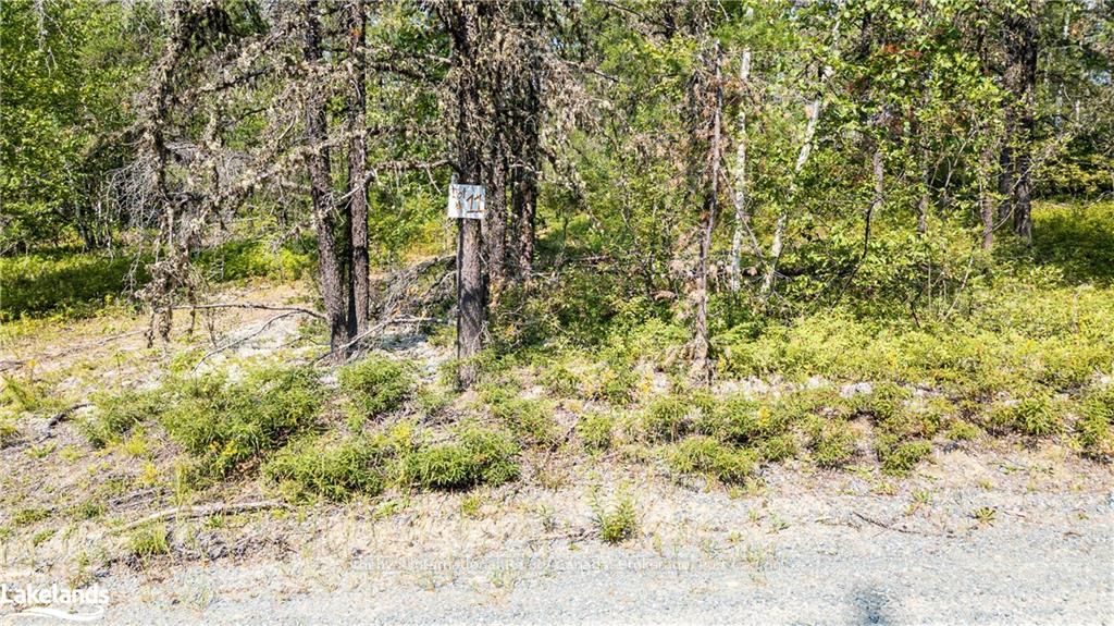 #lots 8 - 11 - 0 Munro Lake Road Property Photo