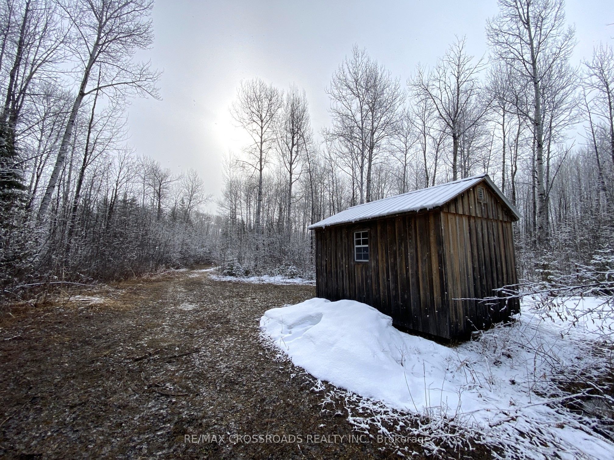 335506 Highway 11 Property Photo 6