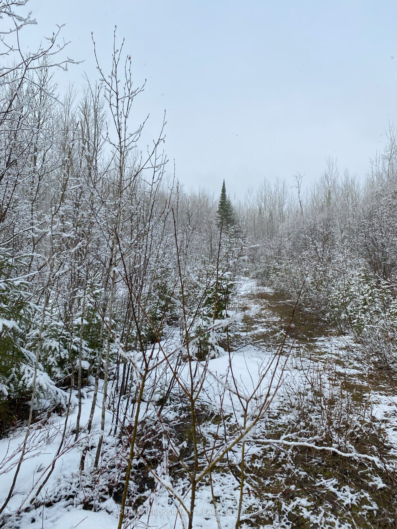 335506 Highway 11 Property Photo 9