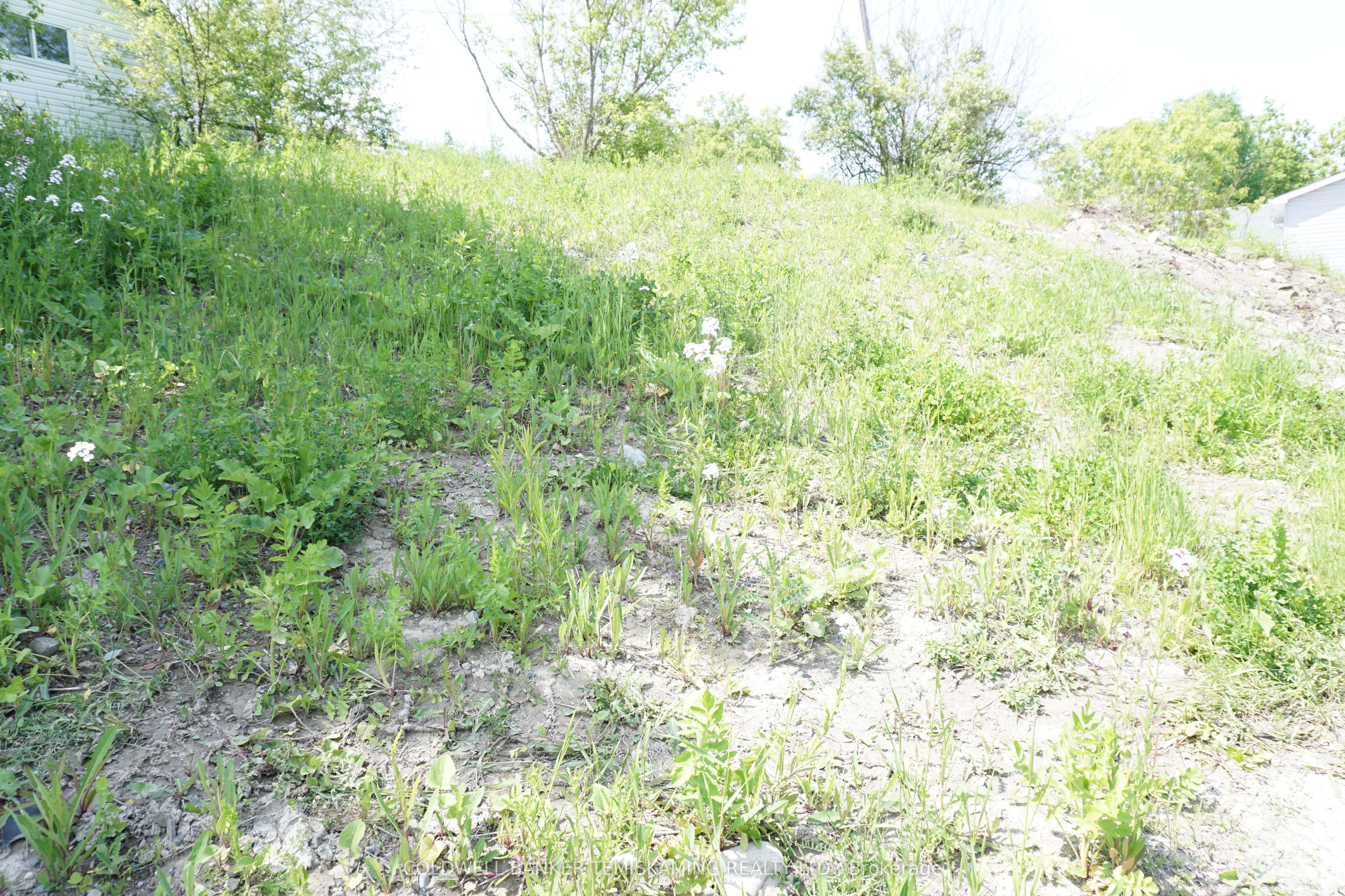 93 Jamieson Street Property Photo 2