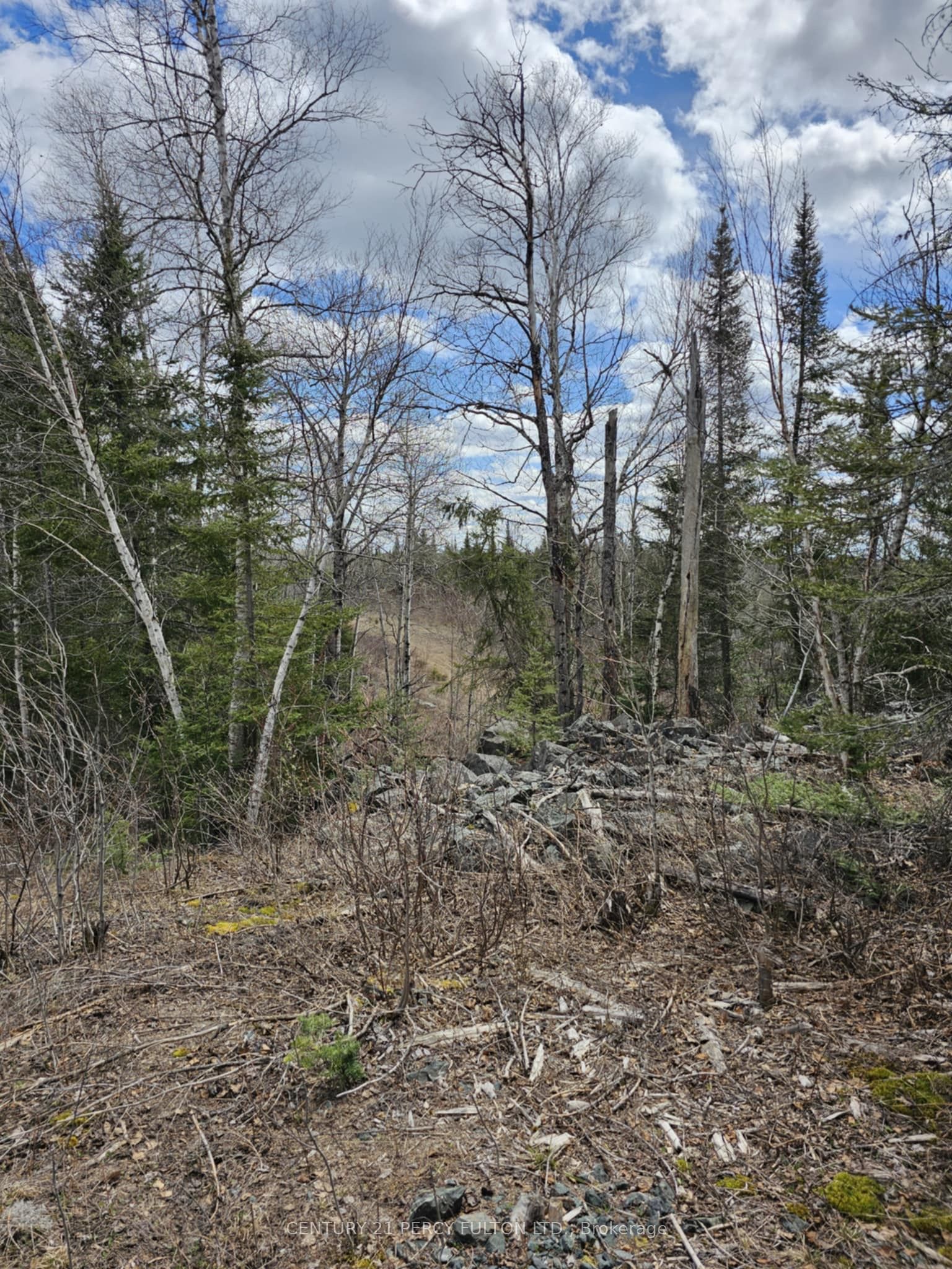 0 Dis of TIMISKAMING Road Property Photo 1