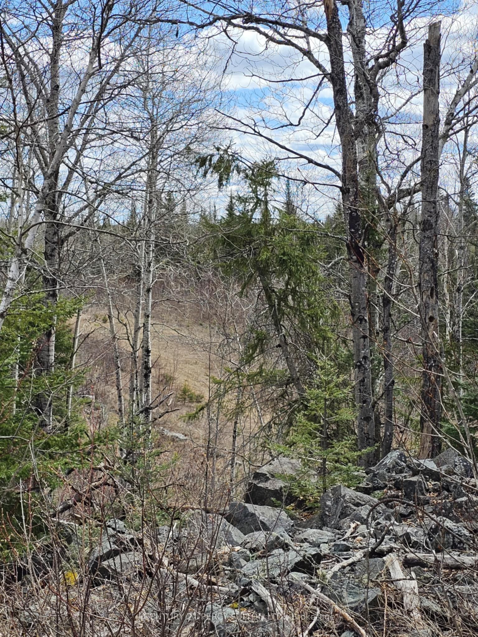 0 Dis Of Timiskaming Road Property Photo 2