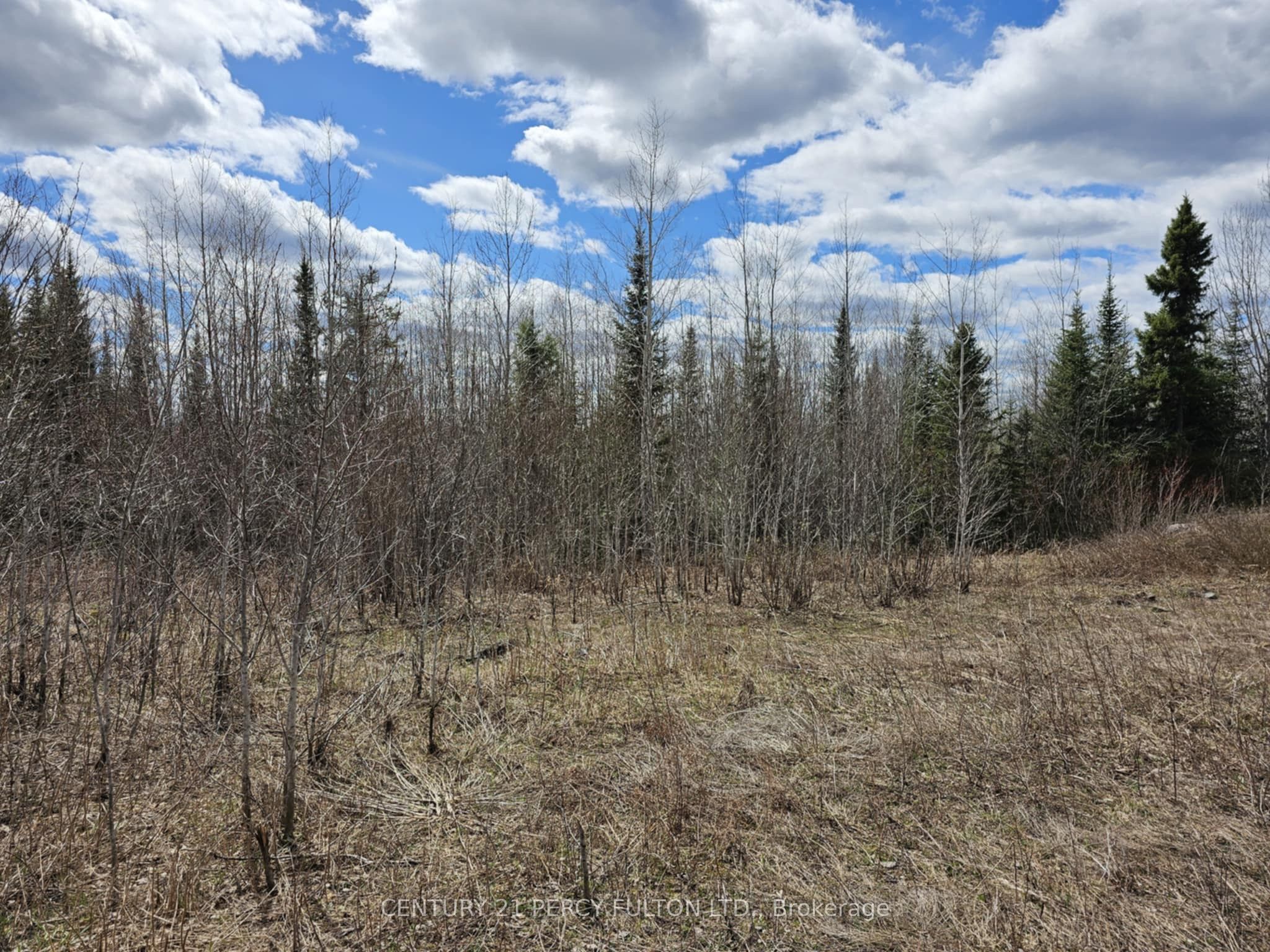 0 Dis Of Timiskaming Road Property Photo 4