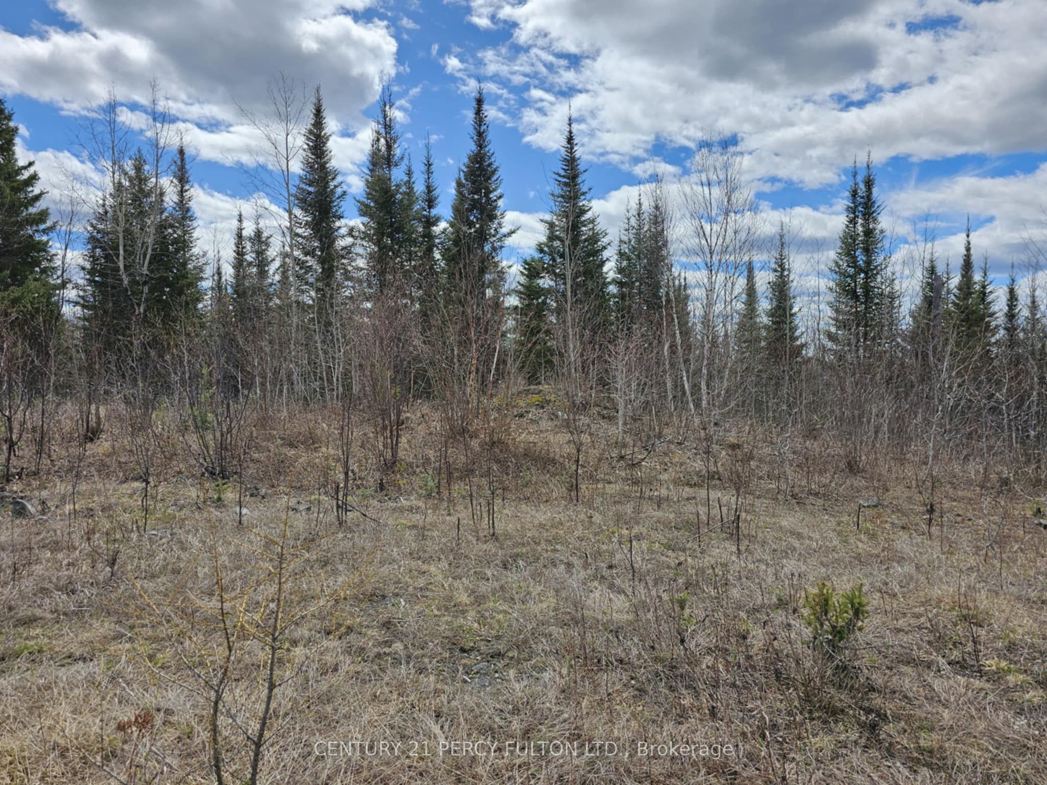 0 Dis Of Timiskaming Road Property Photo 8