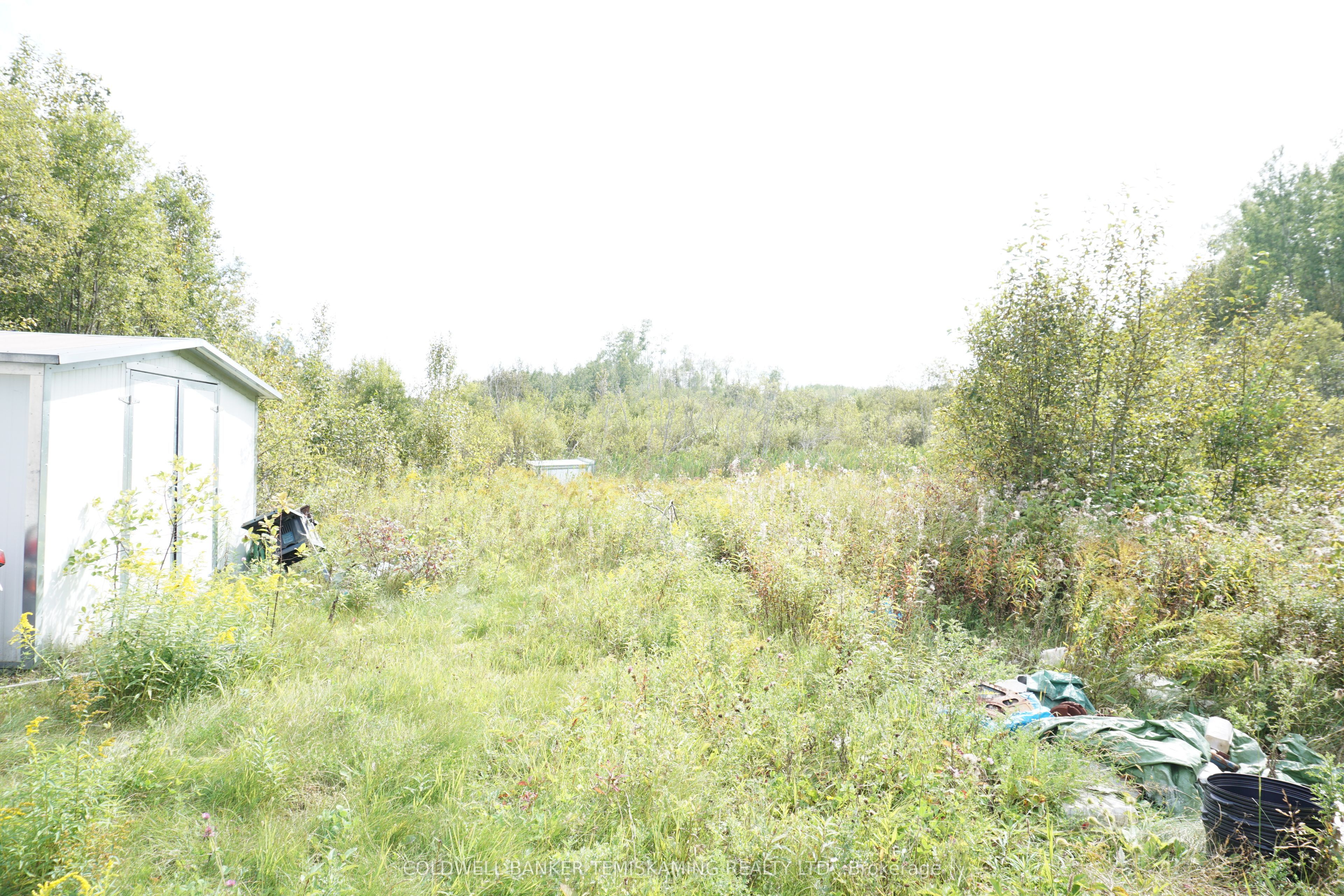 Lot 1 Campbell's Road Property Photo 23