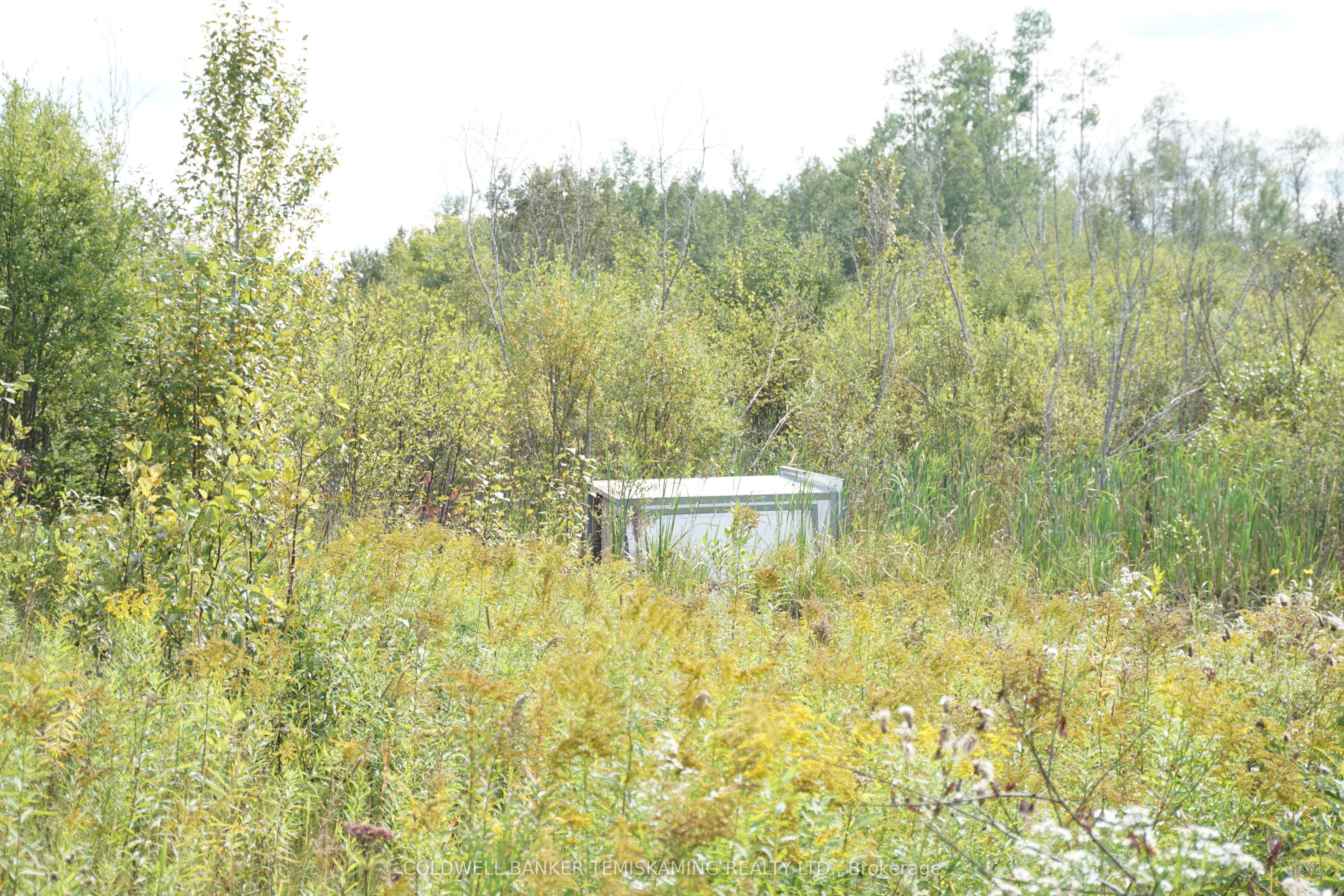 Lot 1 Campbell's Road Property Photo 24